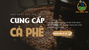 Cà Phê cao cấp Anh Nông Dân Đắk Lắk anhnongdan.com.vn