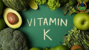 vitamin k giúp da sáng khỏe anhnongdan.com.vn